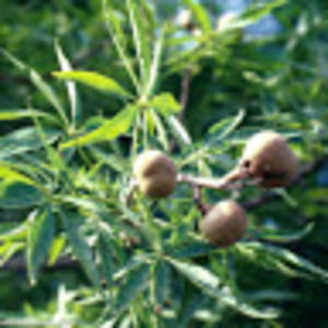 Meet your Posher, Fred